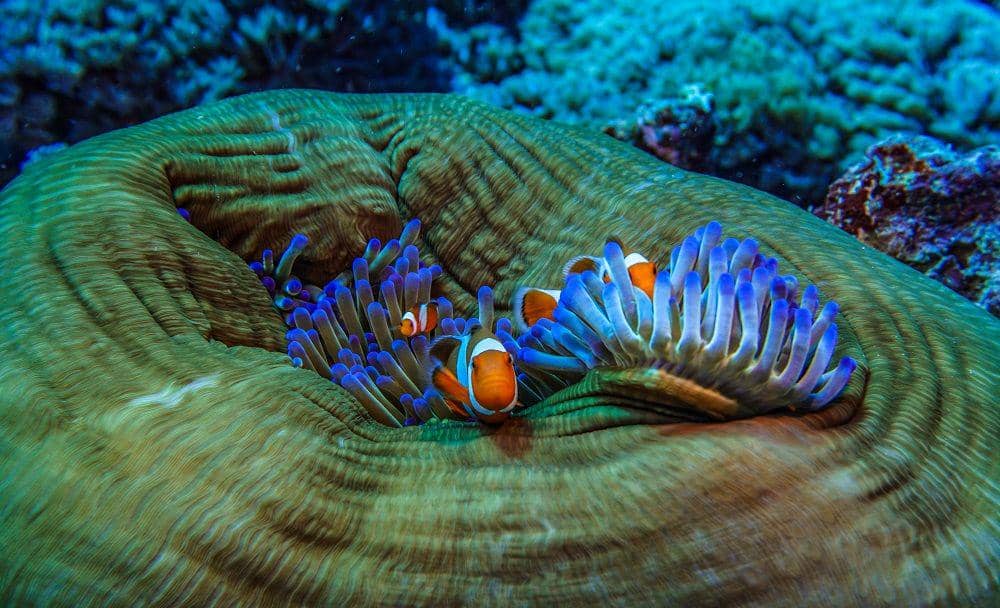 Unsplash.com/@aj_photo