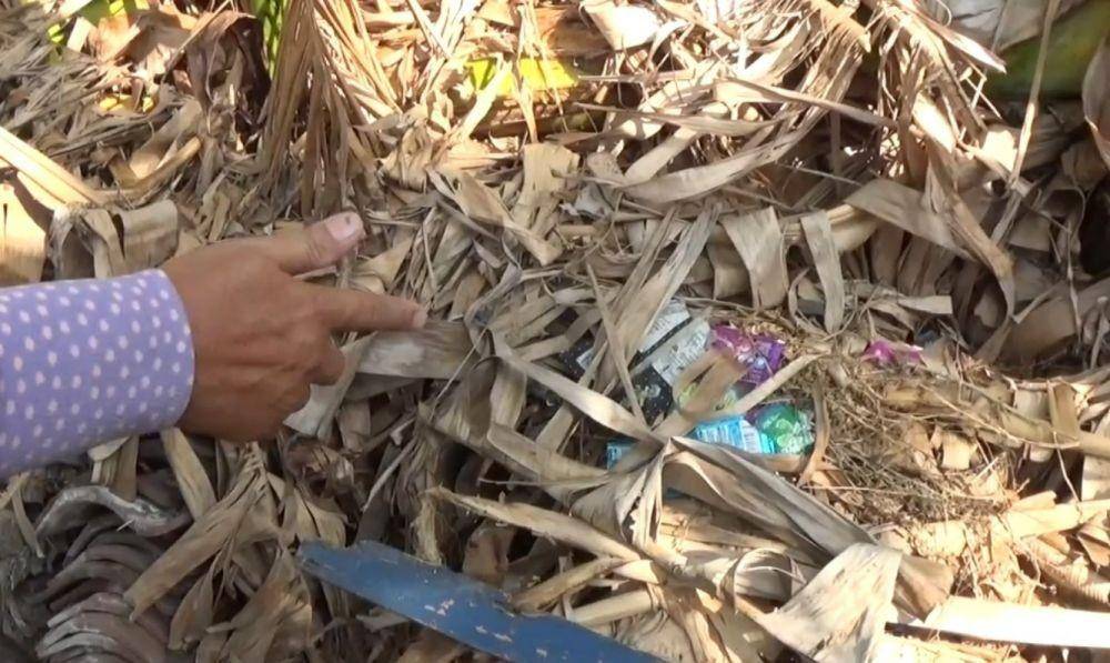 Lokasi ditemukannya bayi yang dibuang di kebun pisang. Dok.IDN Times/Istimewa