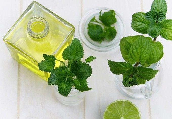 pixabay.com/silviarita / 518 images