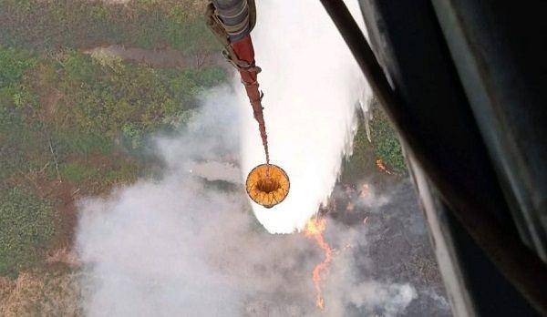 Kebakaran hutan dan Lahan di Sumsel tahun 2019 (IDN Times/BNPB)