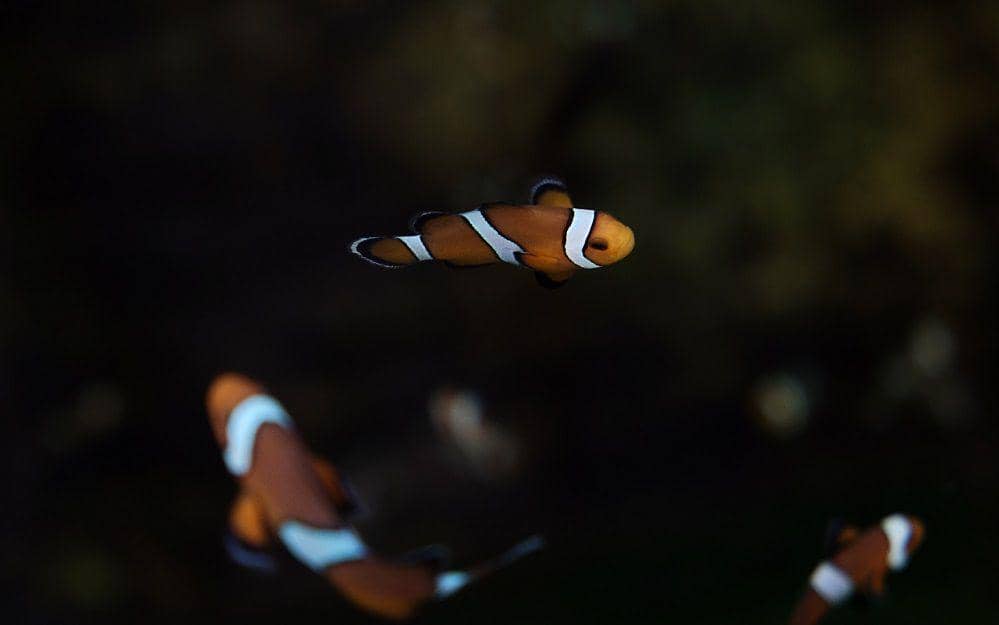 Unsplash.com/@minkmingle