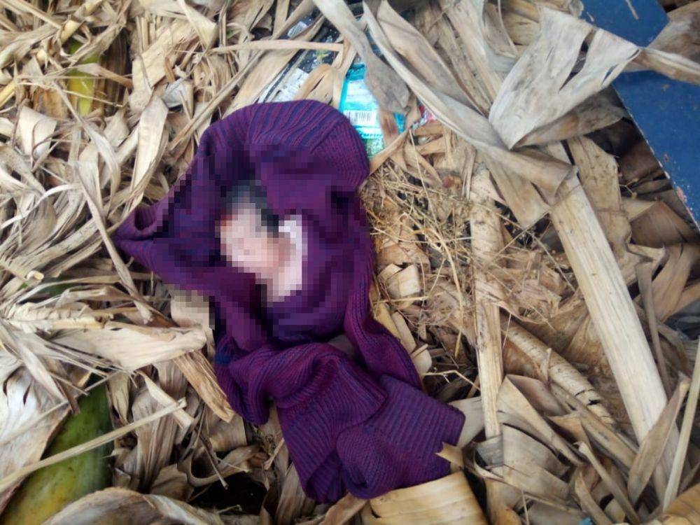 Bayi laki-laki yang dibuang di kebun pisang wilayah Magetan ditemukan dalam kondisi hidup, Minggu (1/12). Dok. IDN Times/Istimewa
