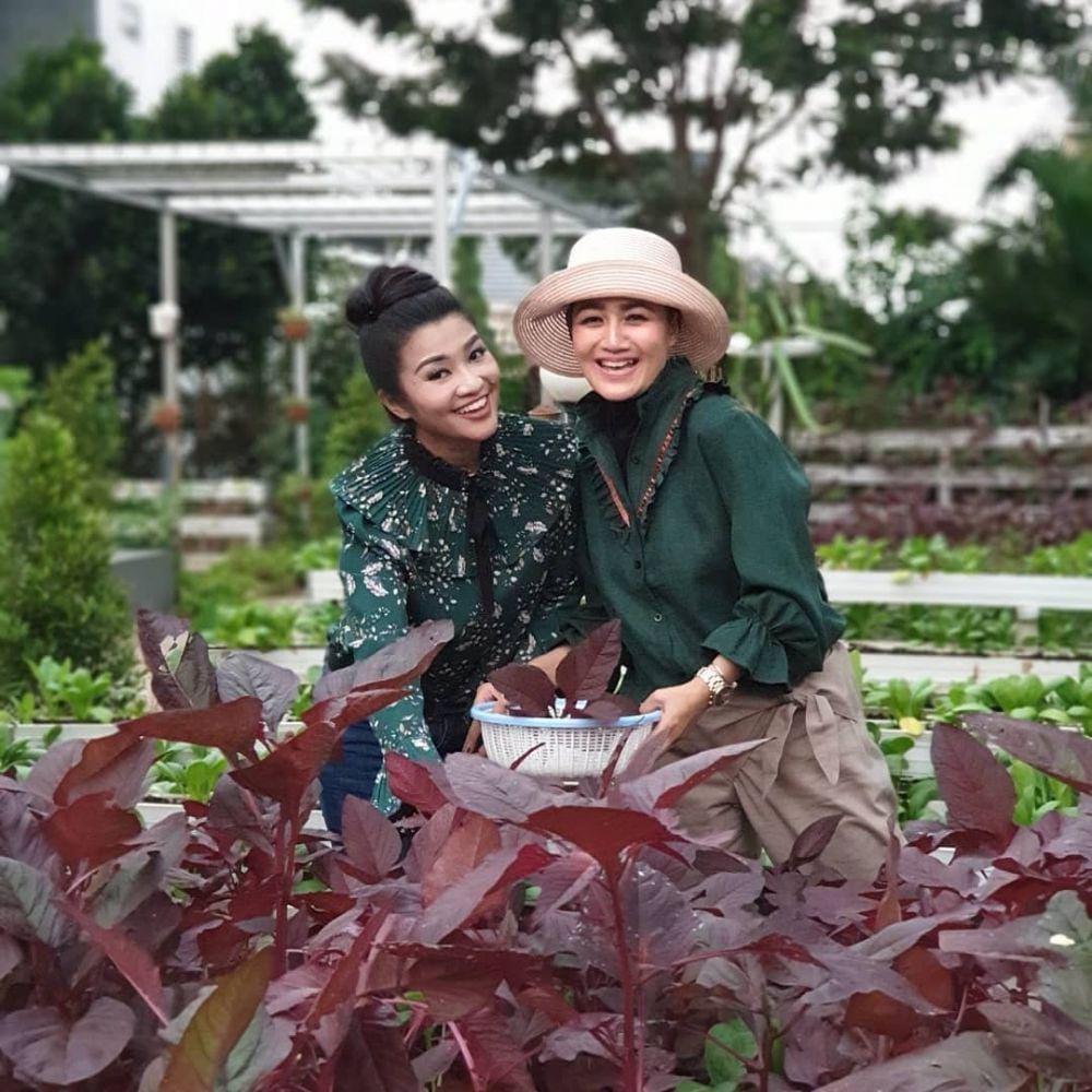 Instagram.com/ninicarlina_real