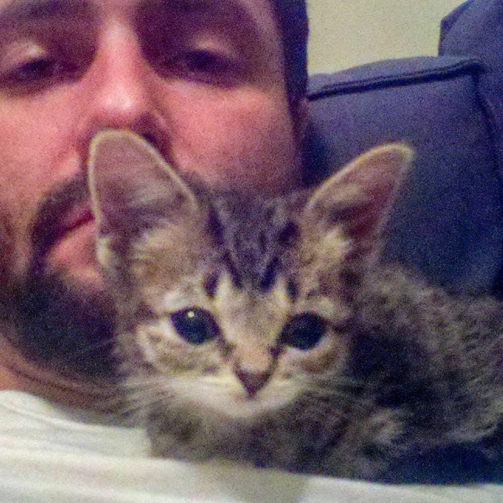 Instagram.com/iamlilbub