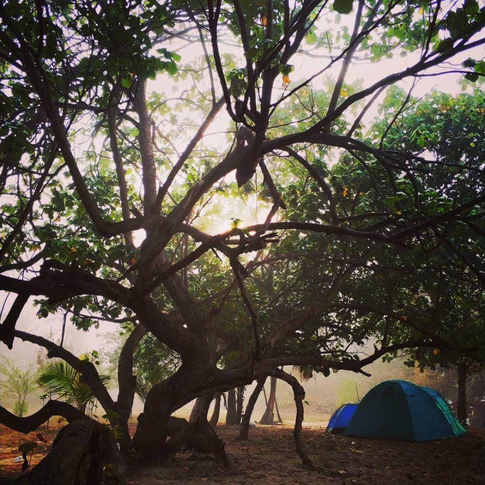 instagram.com/ronyroos