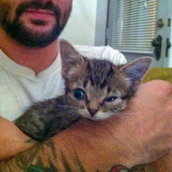 Instagram.com/iamlilbub