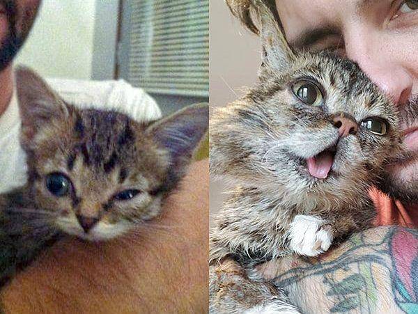 Instagram.com/iamlilbub
