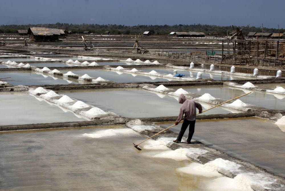 Garam Jeneponto, Sulawesi Selatan, terkontaminasi mikroplastik
