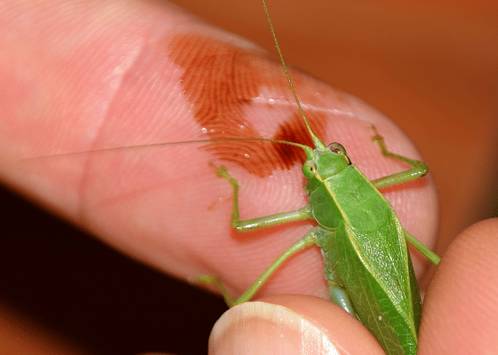 extension.purdue.edu