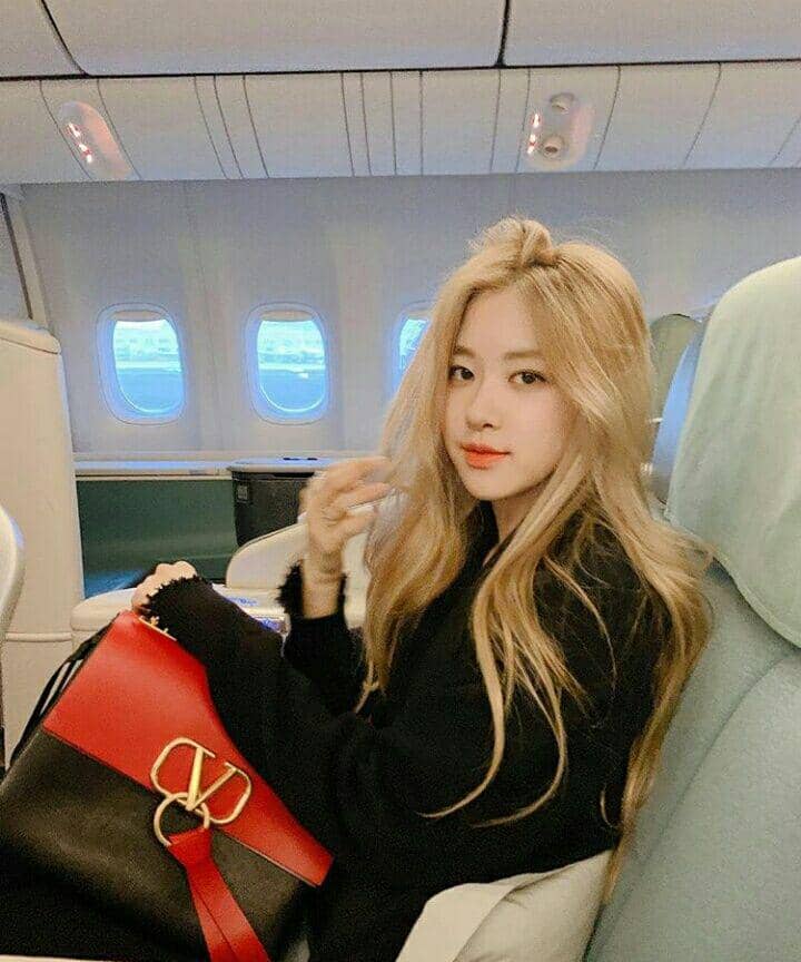 Instagram.com/roses_are_rosie
