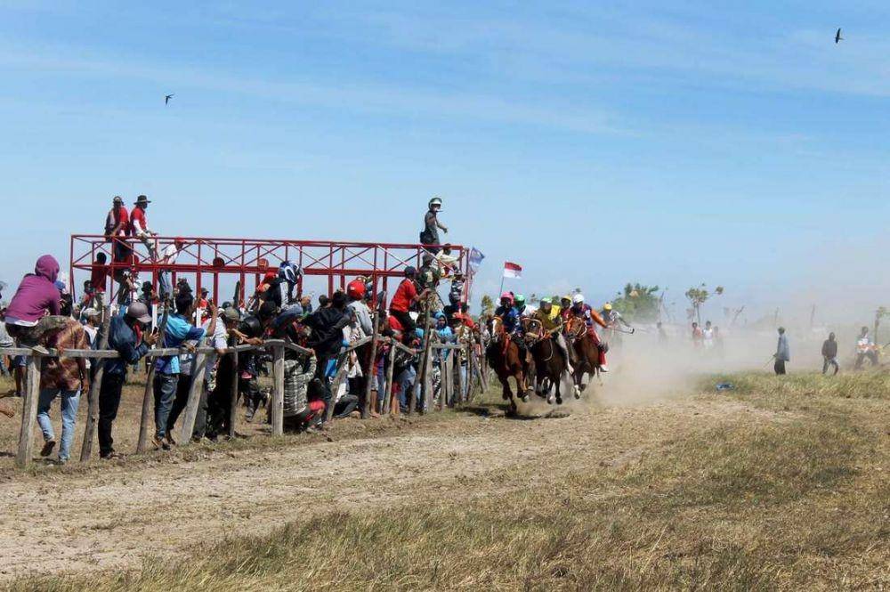 Festival berkuda di Jeneponto, Sulawesi Selatan