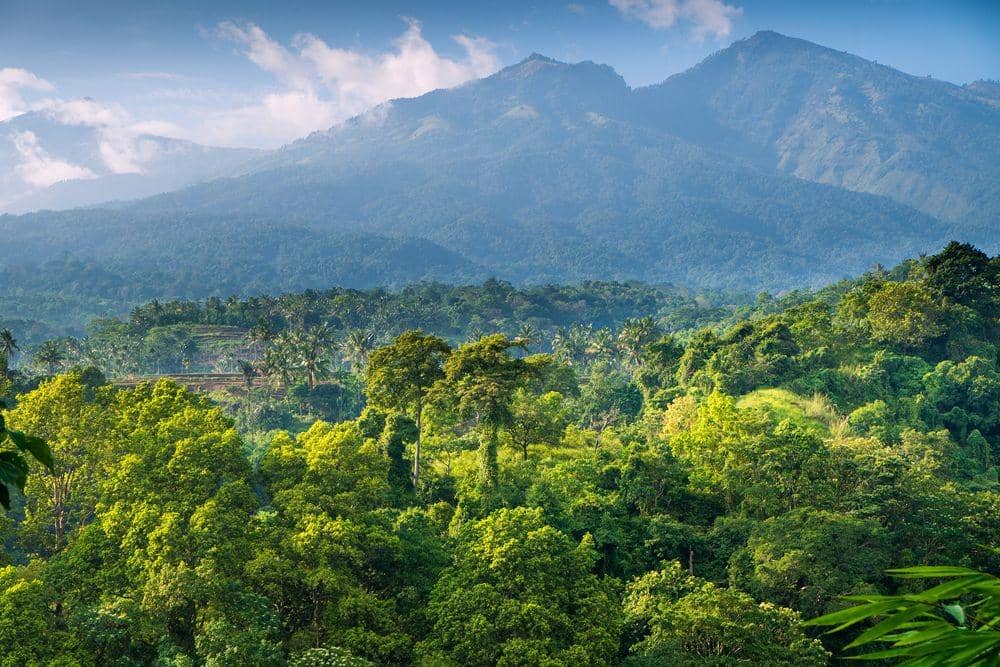 Shutterstock.com/duchy