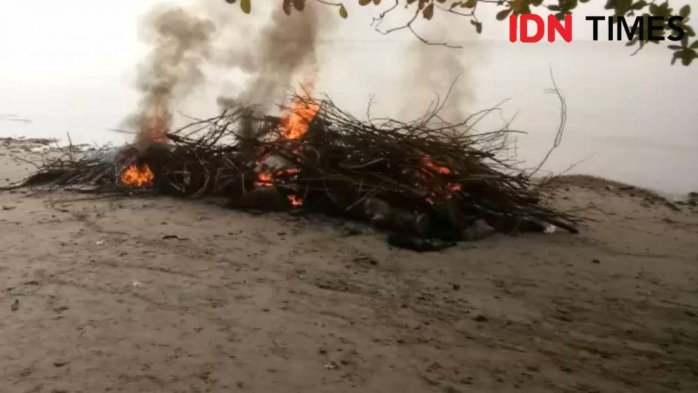 Bangkai paus bungkuk yang ditemukan di Teluk Balikpapan telah dibakar. IDN Times/Surya Aditya