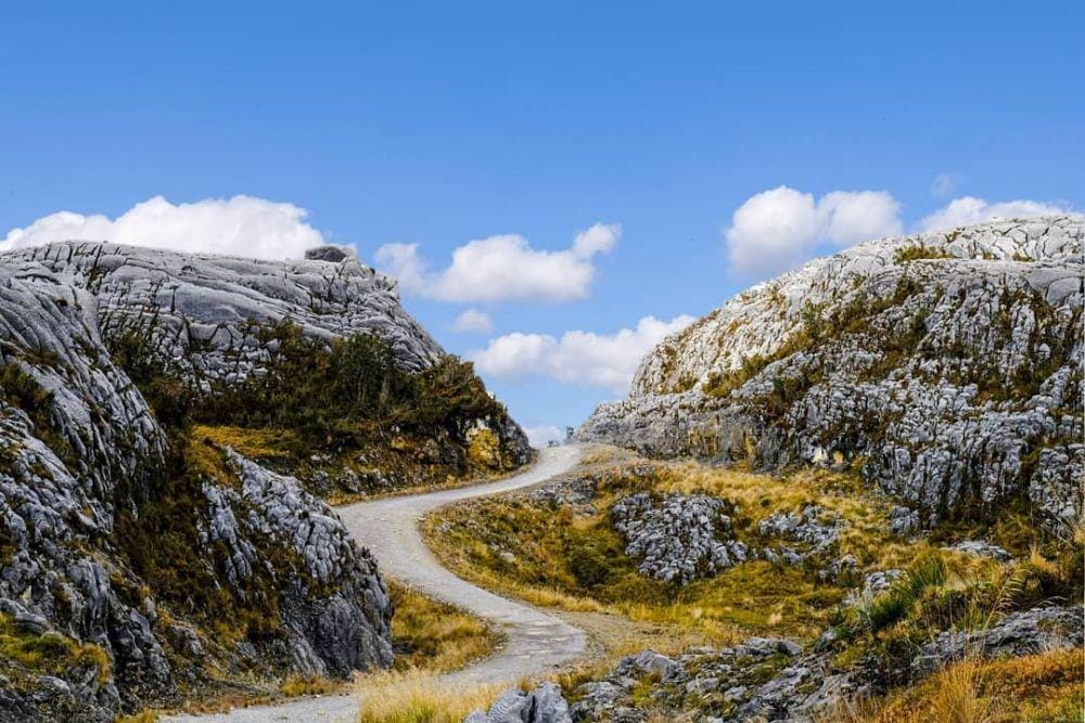 instagram.com/santofreddy