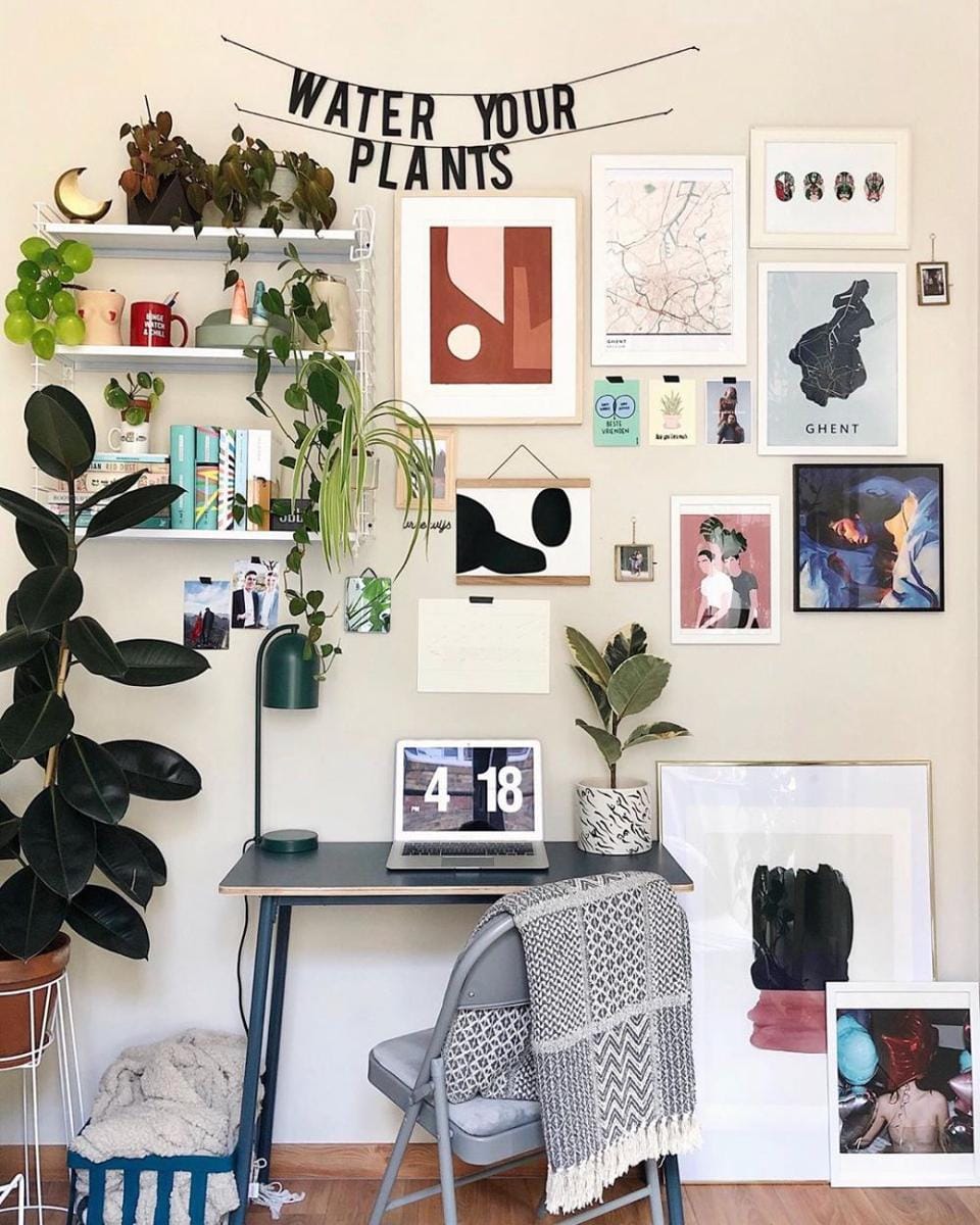 instagram.com/nelplant