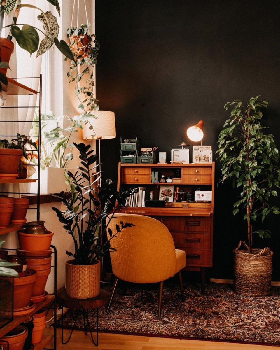 instagram.com/marienova