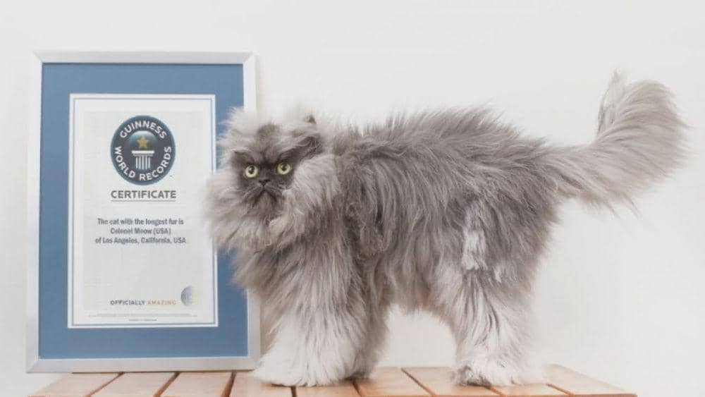 youtube.com/On Demand News