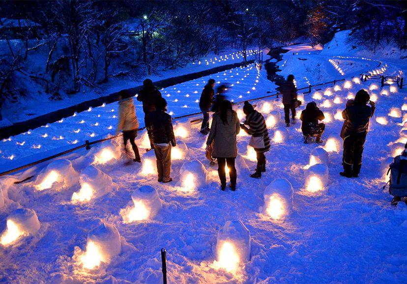 nikko-travel.jp