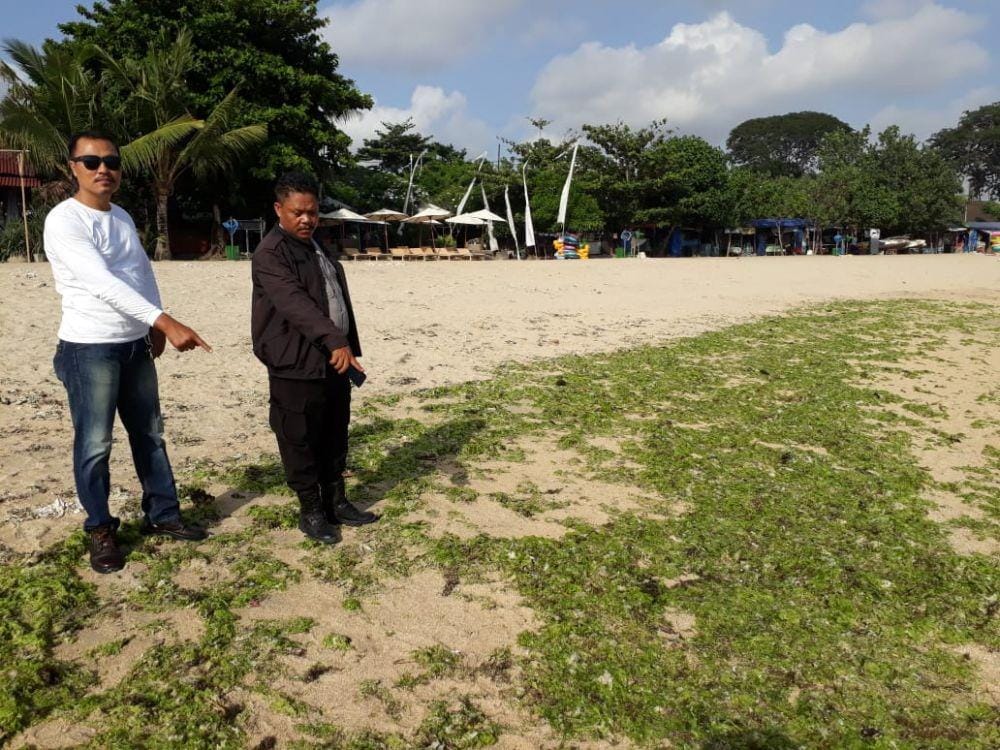 Lokasi penemuan orok bayi. (Dok.IDN Times/Istimewa)