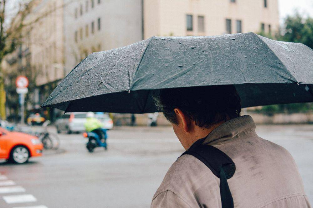 pexels.com/HuyPhan