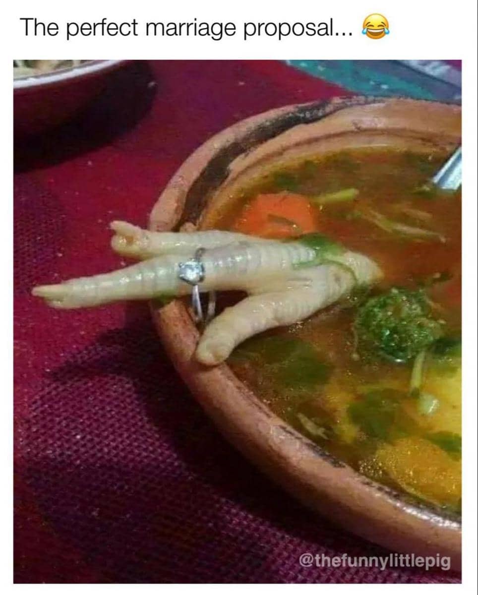 instagram.com/thefunnylittlepig