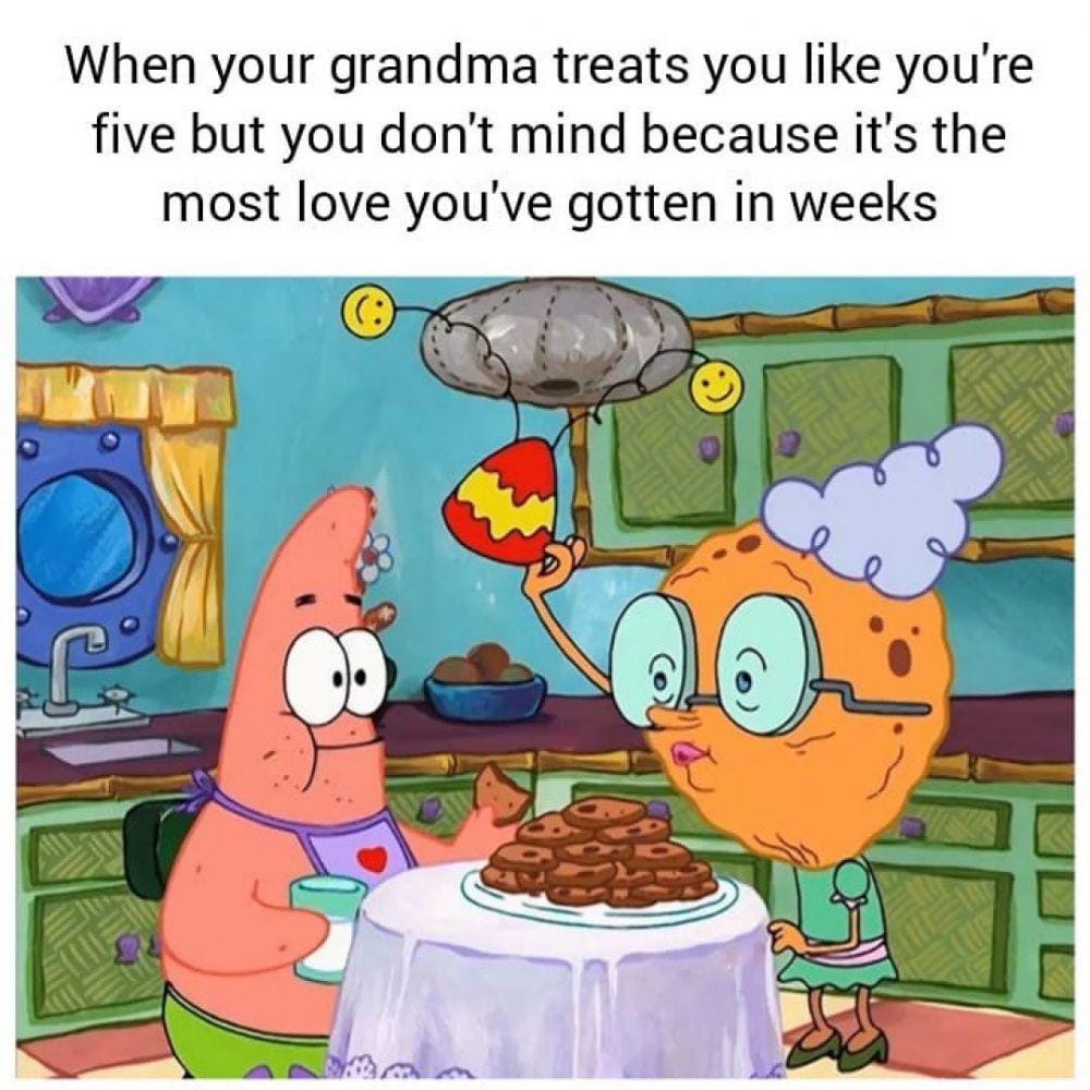 Instagram.com/thefunnylittlepig