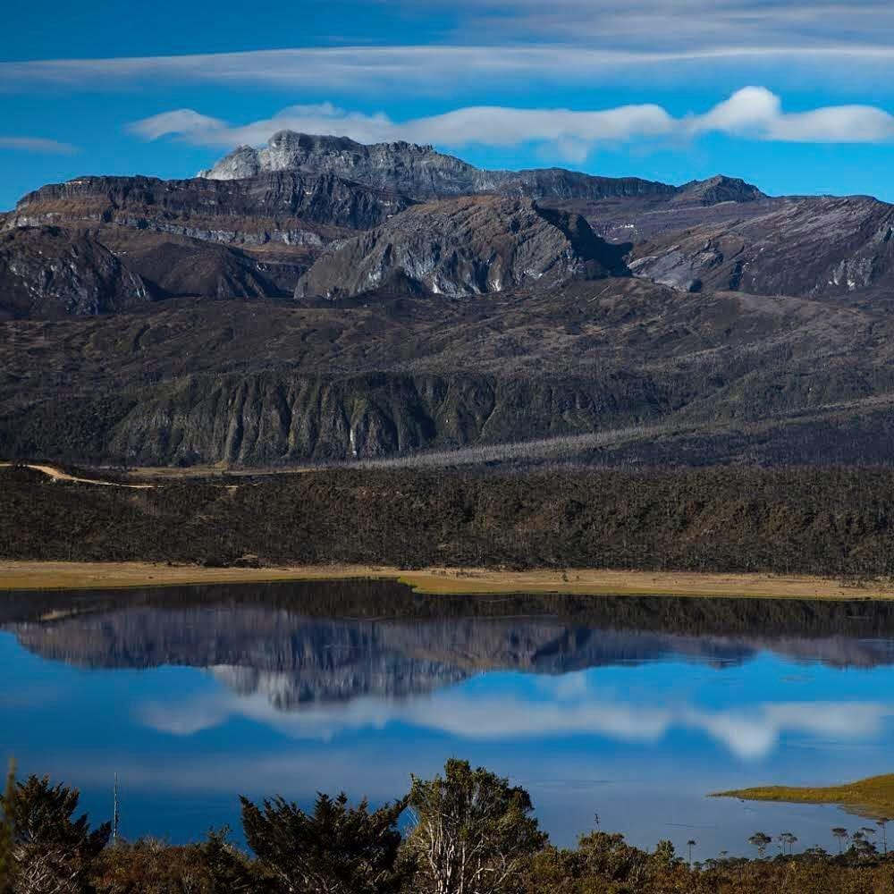 instagram.com/TimLaman