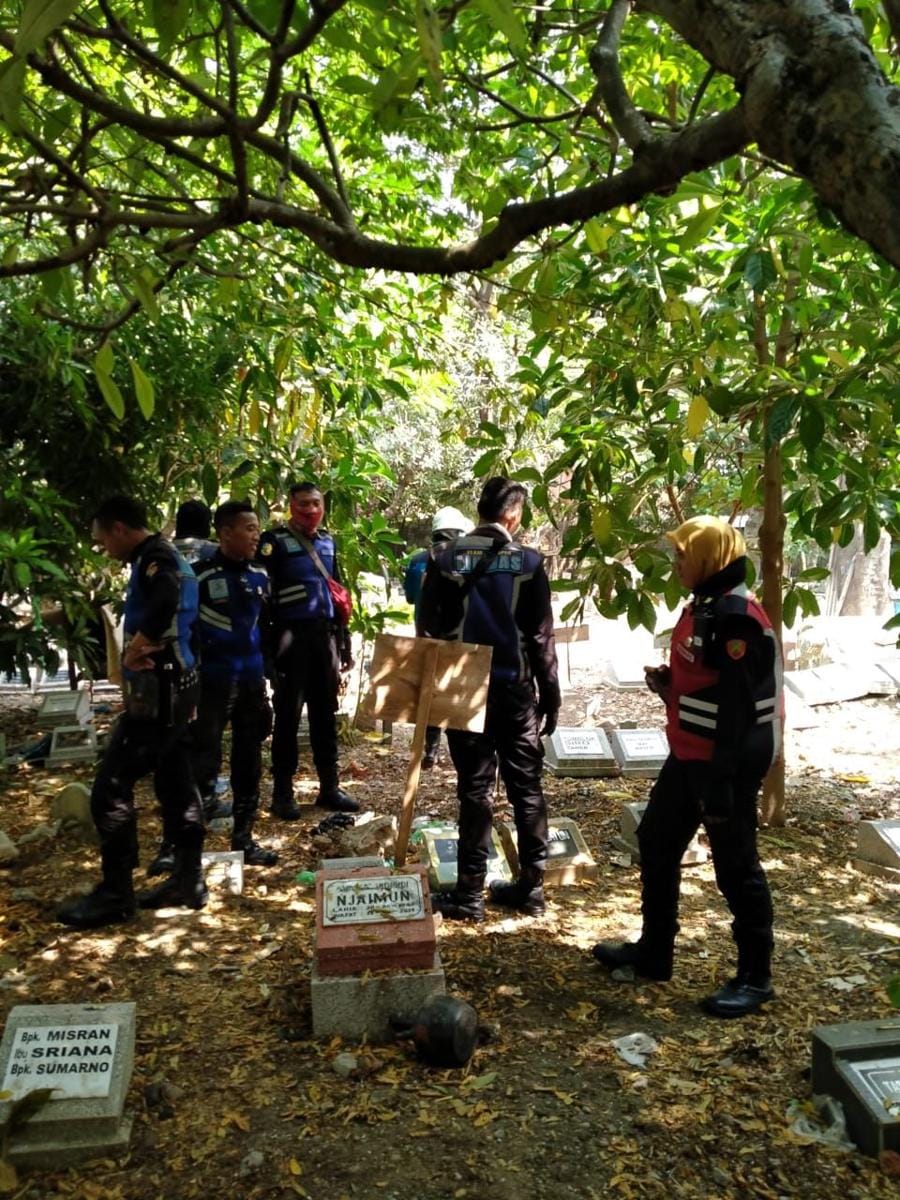 Petugas Damkar sedang menyisir sarang tawon Ndas di Surabaya, Jawa Timur. (Dok.IDN Times/Istimewa)