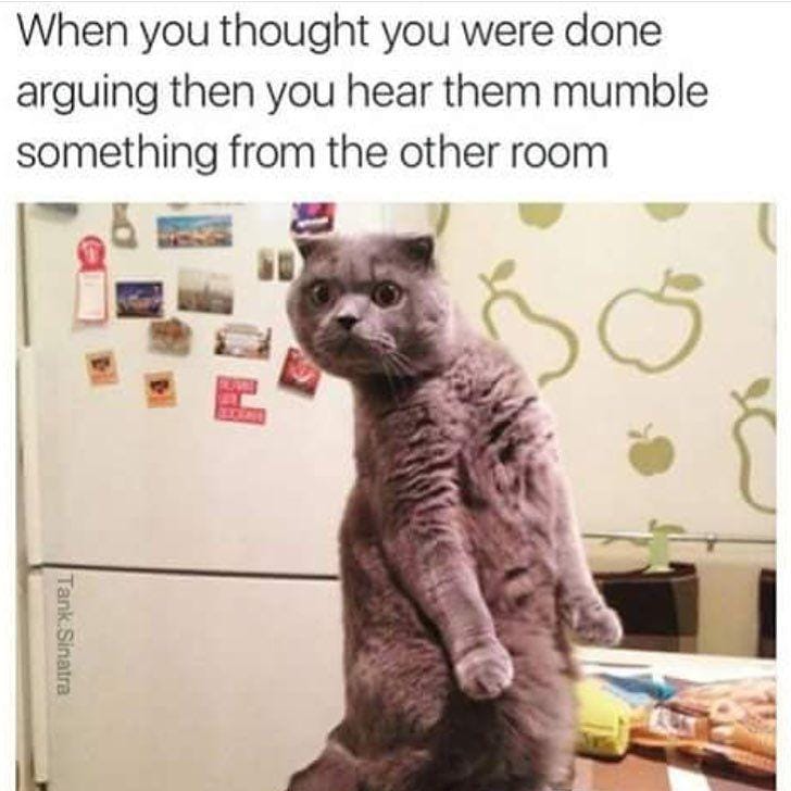 Instagram.com/funny_animal_memes/