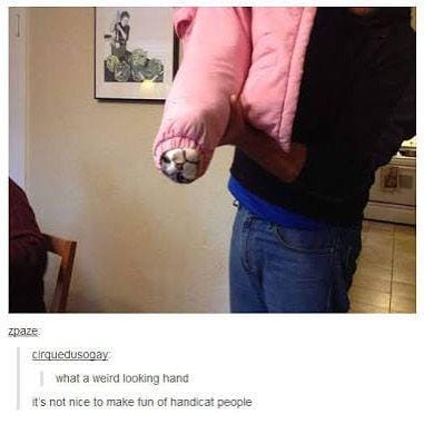 Instagram.com/funny_animal_memes/