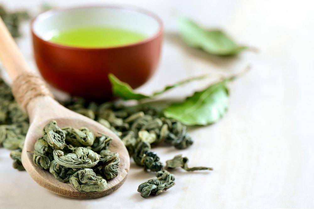 healthyalternativespetoskey.com