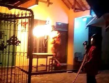 Petugas BPBD Kabupaten Tuban membasmi sarang tawon ndas di salah satu rumah warga. IDN Times/Istimewa