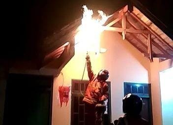 Petugas BPBD Kabupaten Tuban membasmi sarang tawon ndas di salah satu rumah warga. IDN Times/Istimewa