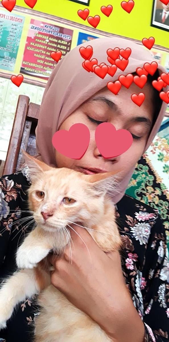 Twitter.com/omalikaaa