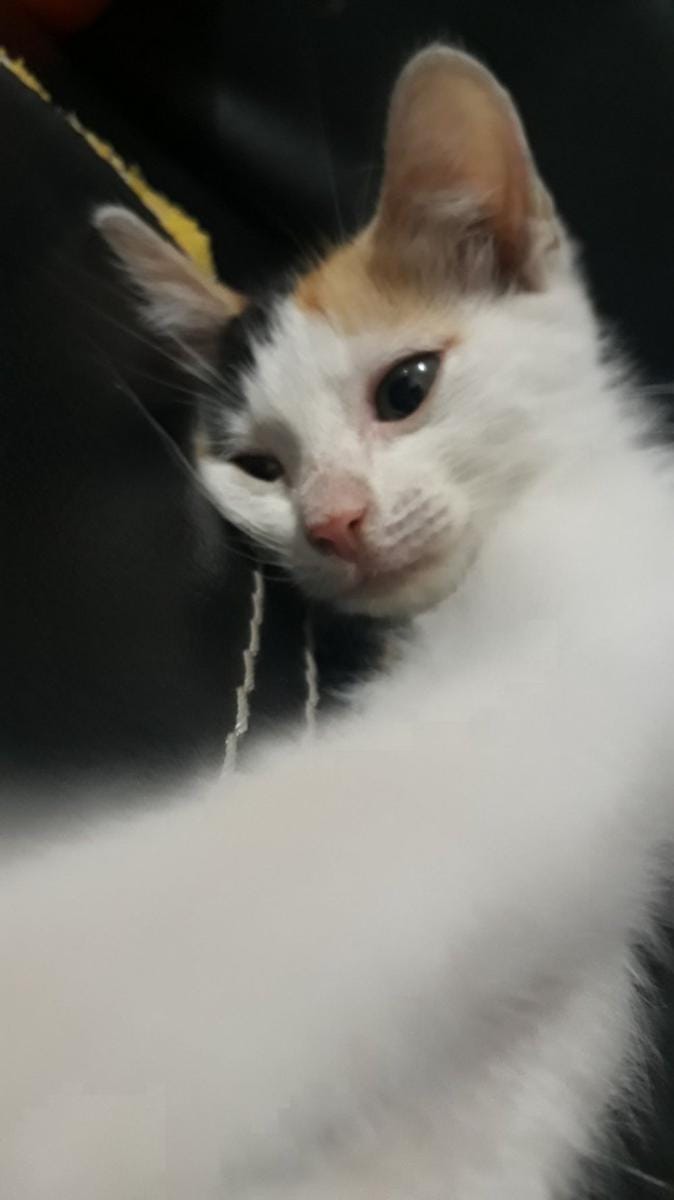 Twitter.com/mello_reen