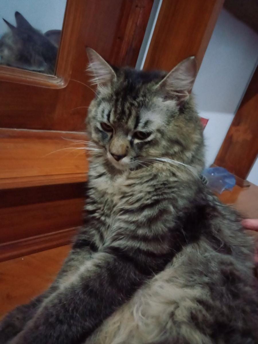 Twitter.com/jovitajuan1