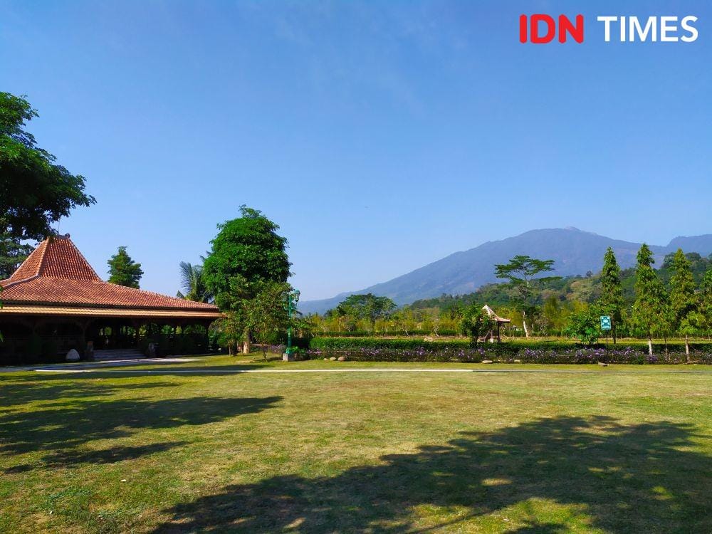 IDN Times/Dhana Kencana