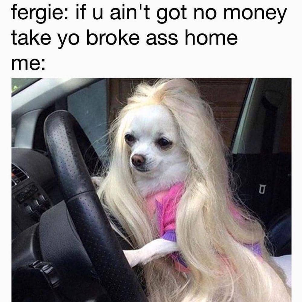 instagram.com/thedogsofcomedyyy