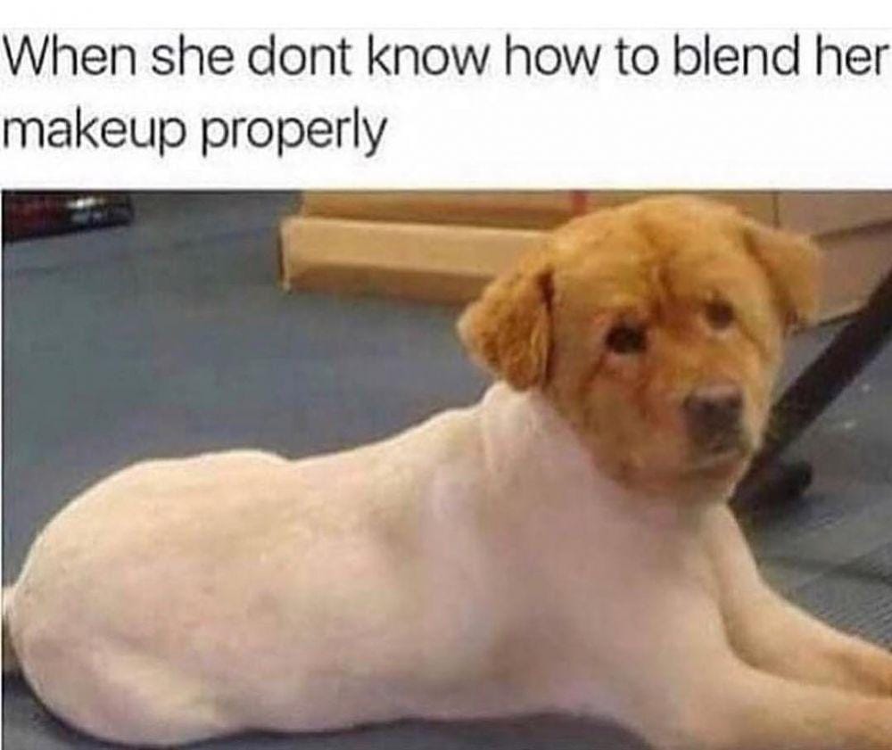 instagram.com/thedogsofcomedyyy