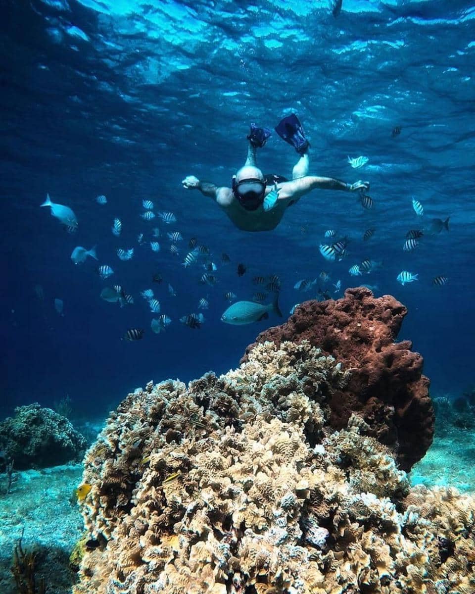 instagram.com/adism79