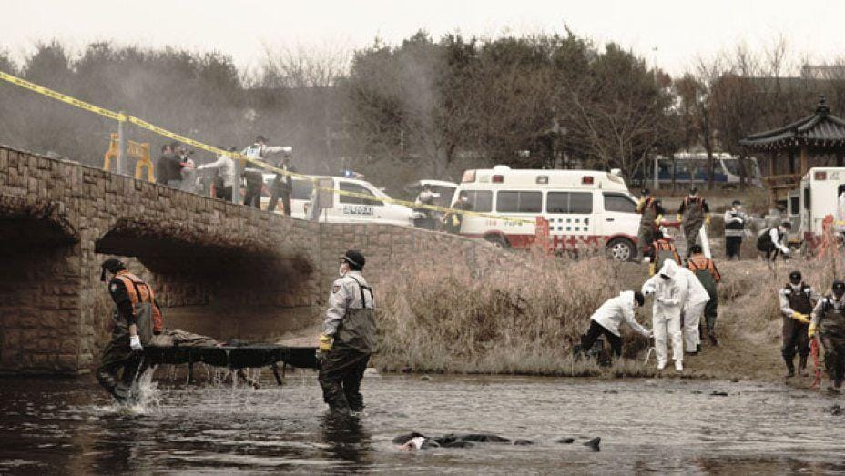 hollywoodreporter.com