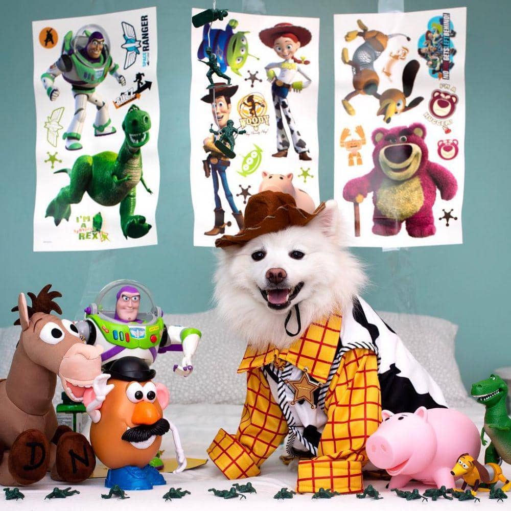 instagram.com/dogsofinstagram