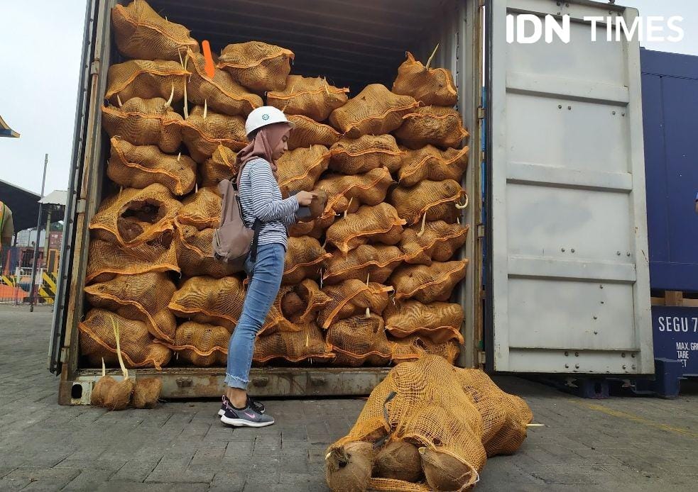Komoditi eksportir kelapa (IDN Times/Feny Maulia Agustin)
