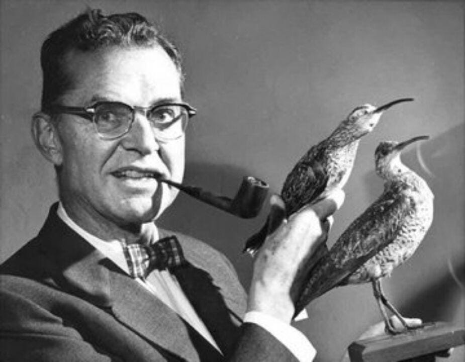 twitter.com/silibraries