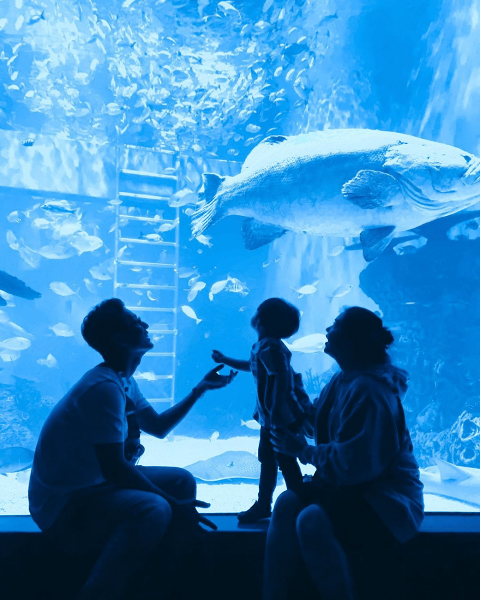 instagram.com/putrititian