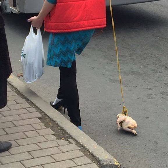 instagram.com/humansoftrulai