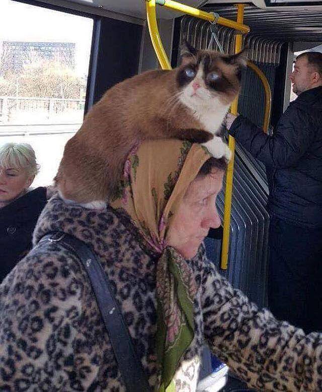 facebook.com/humansoftrulai
