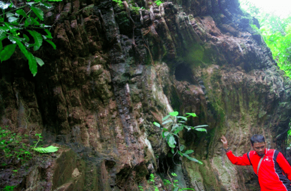 Geowisata Karangsambung