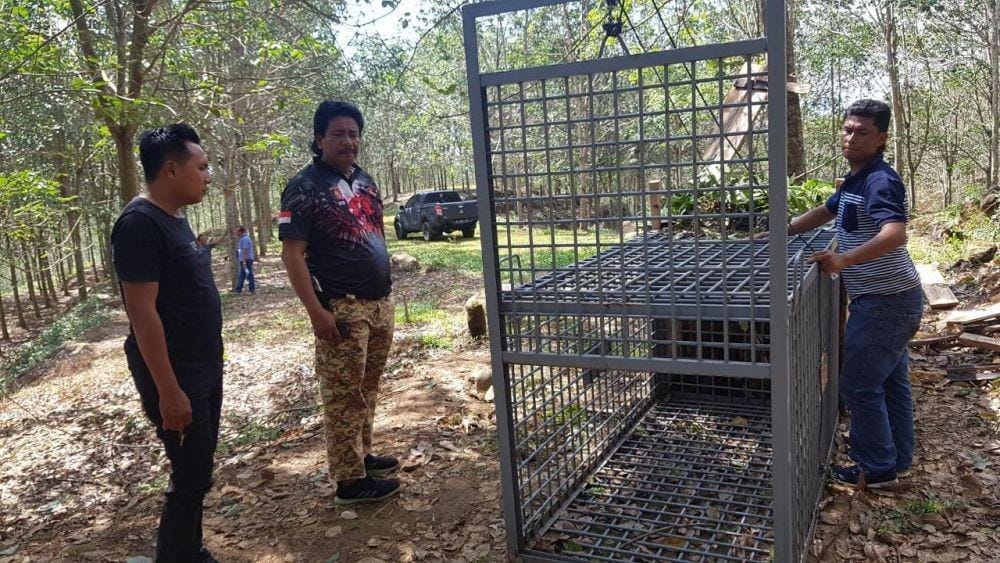 Polisi melakukan olah Tempat Kejadian Perkara (TKP) hilangnya kamera trap milik BBKSDA Sumut (dok Polres Tapsel)