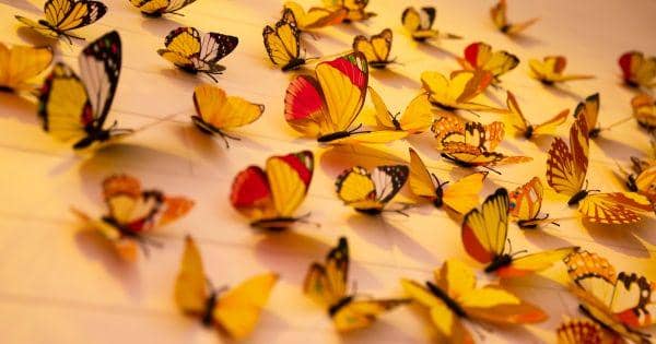 Unsplash.com/__ drz __